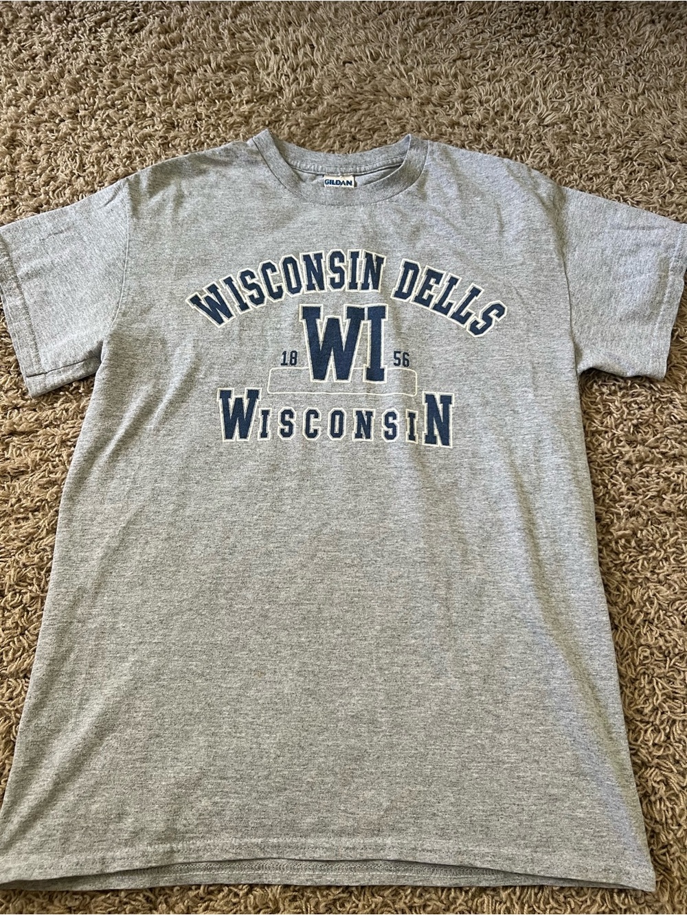 Gildan Vintage Adult Small Wisconsin Dells Gray T Shirt